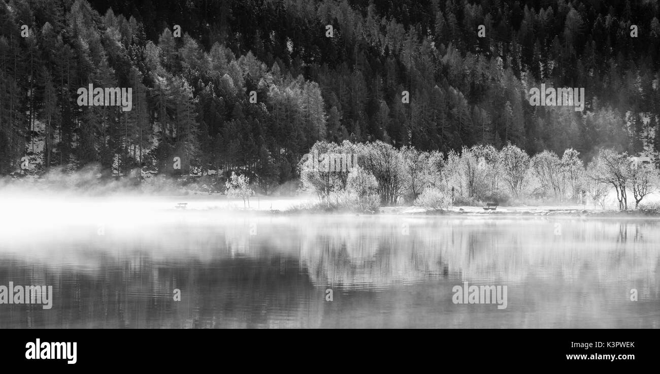 Nebbia mattutina sul lago di Silvaplana, st moritz, Svizzera Foto Stock