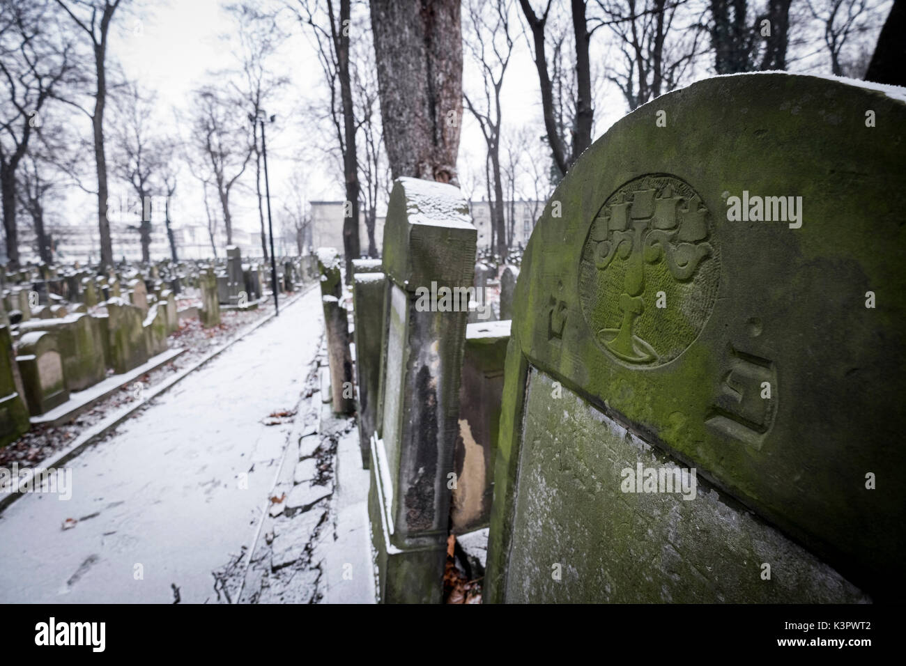 Cracovia in Polonia, a nord-est Europa. Stradina all'interno del nuovo cimitero ebraico. Foto Stock