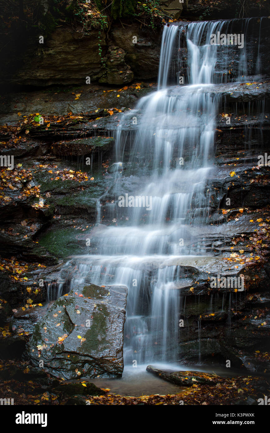 Parco Nazionale delle Foreste Casentinesi, Badia Prataglia, Toscana, Italia, Europa. La cascata dettaglio. Foto Stock