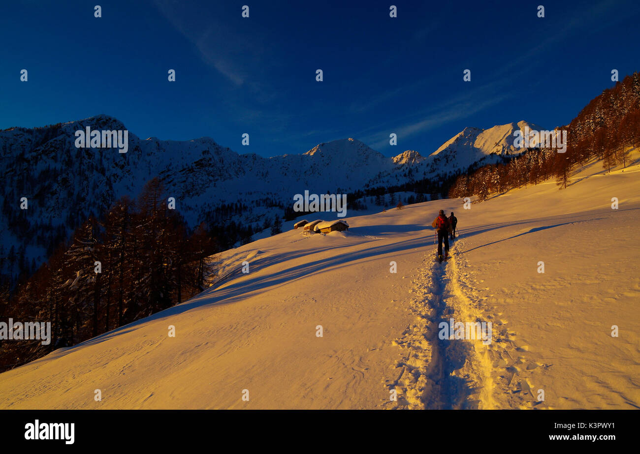 La prima luce del giorno, Alpe Olano, Valgerola, Valtellina, Lombary, Italia Foto Stock