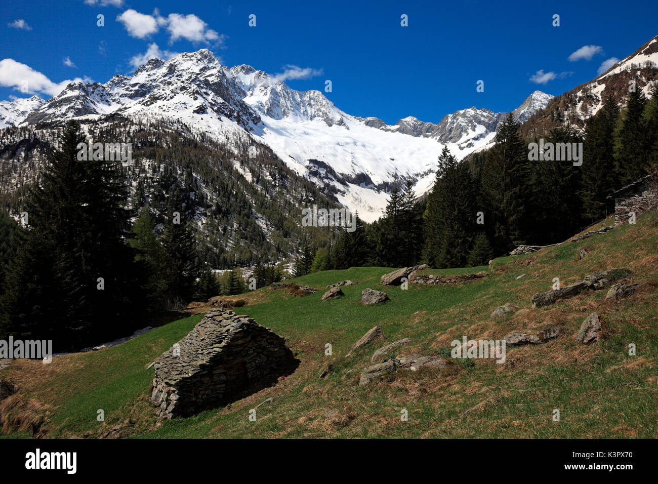 Vista dal sentiero da Chiareggio al Passo del Muretto, con l'imponente Monte Disgrazia, Valmalenco, Sondrio, Lombardia, Italia Foto Stock