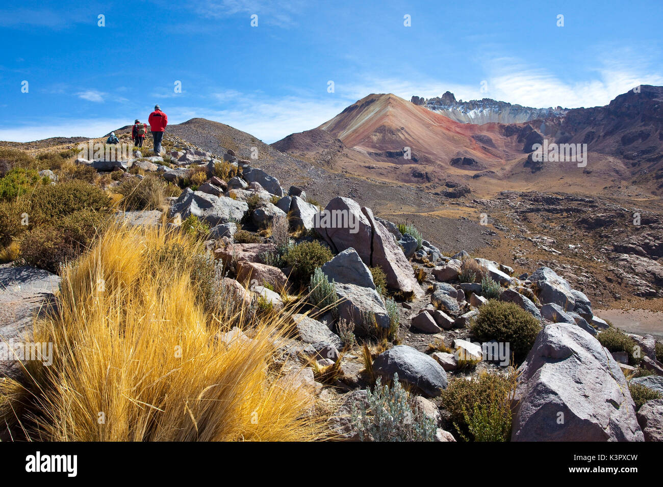 Gli alpinisti che iniziano la loro ascesa alla cima del vulcano Tunupa, sulle Ande boliviane. Grazie alle ceneri vulcaniche, alle pendici del vulcano sono terreno fertile. Una volta che avete guadagnato abbastanza altitudine di lasciare gli ultimi campi circondato da mura in pietra si accede al primo punto di Outlook che offre una panoramica su tutta la regione. Un ashtonishigly flaura diversificato e fauna (colibrì, Vizcachas, camelidi...) attendono sul percorso prima di raggiungere l'ultima sezione di un ghiaione. Bolivia, Sud America Foto Stock