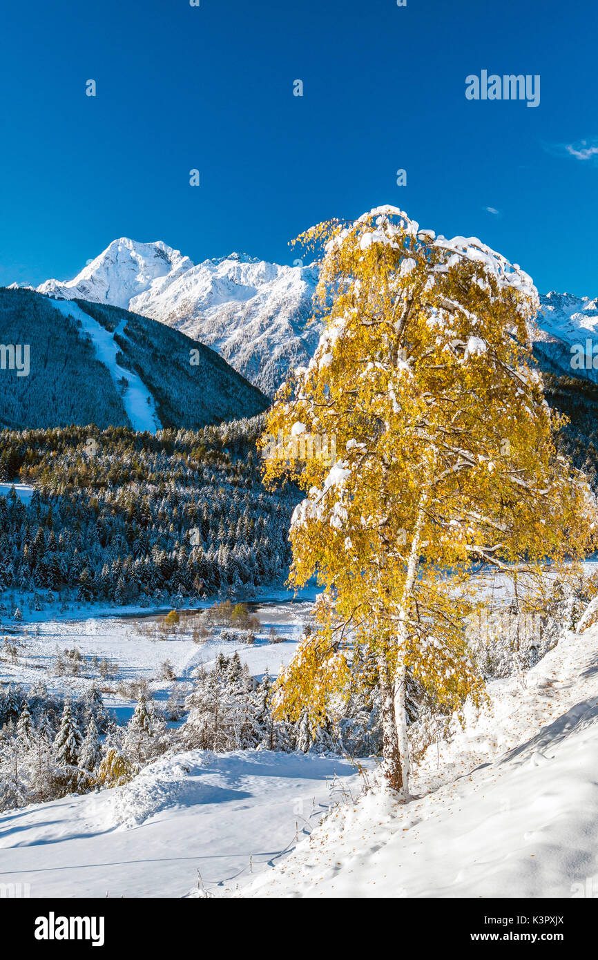 Autunnale di nevicata che copre il Pian di Gembro non lontano dalla località sciistica di Aprica Orobie parco naturale, Alpi Valtellina Sondrio, Lombardia, Italia Europa Foto Stock