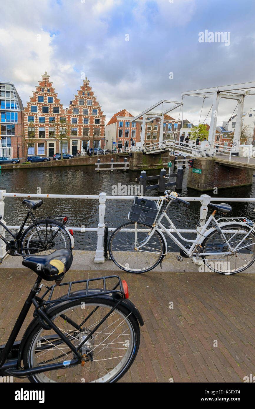 Le biciclette in banchina del canale del fiume Spaarne con tipiche case sullo sfondo Haarlem Olanda settentrionale dei Paesi Bassi in Europa Foto Stock