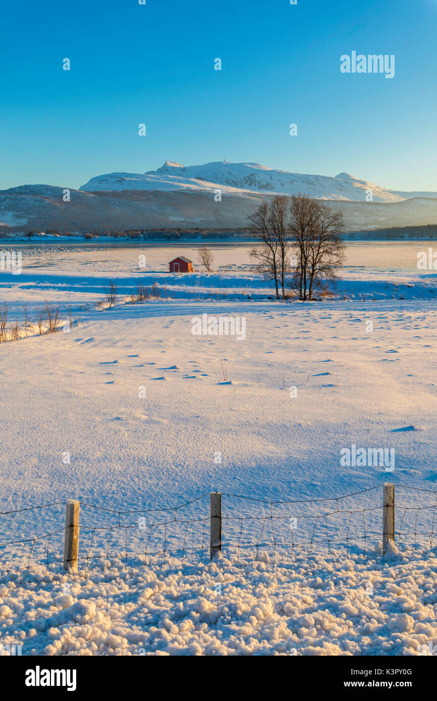 Capanna in legno nel paesaggio innevato rivolta verso il mare a freddo sulla strada che conduce da Gibostad a Finnsnes Senja Tromsø Norvegia Europa Foto Stock