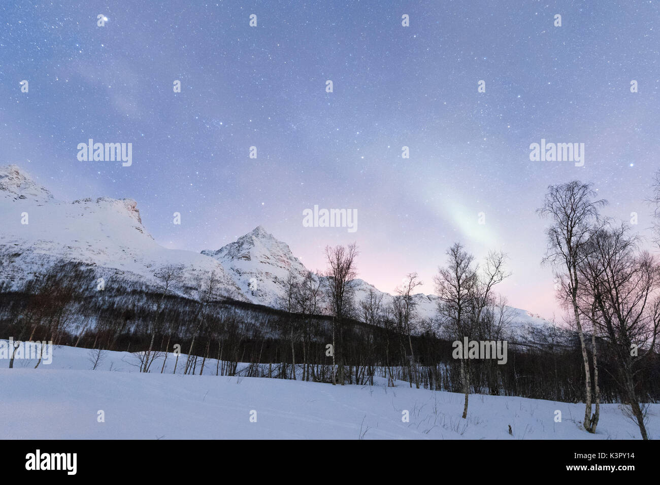 Le luci del nord e il cielo stellato illumina il paesaggio innevato e boschi Nordkjosbotn Alpi Lyngen Tromsø Norvegia Europa Foto Stock
