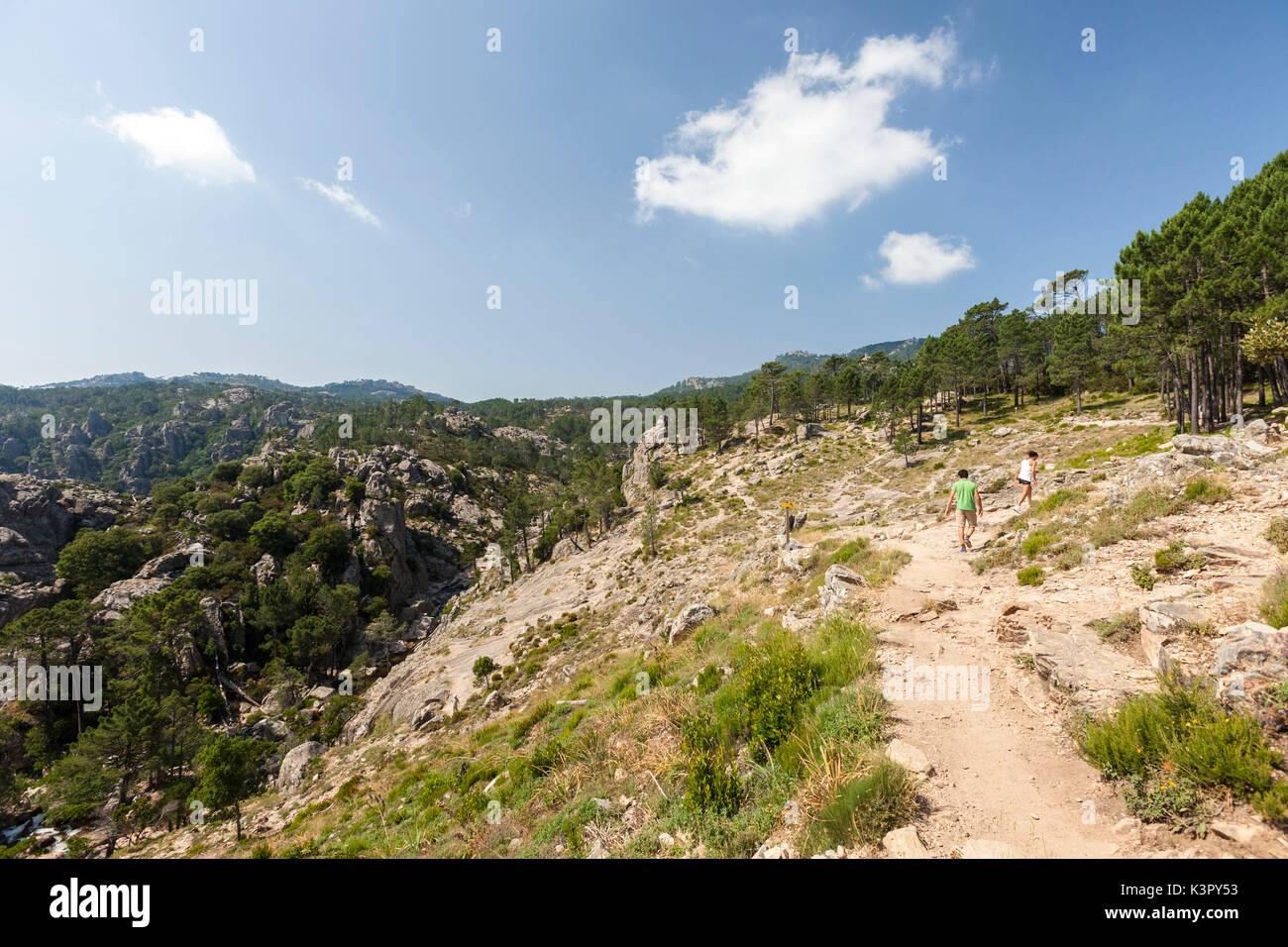 Gli escursionisti circondati da boschi nel Parco Naturale del l'Ospedale di montagna Piscia di Gallo Zonza Corsica del Sud Francia Europa Foto Stock