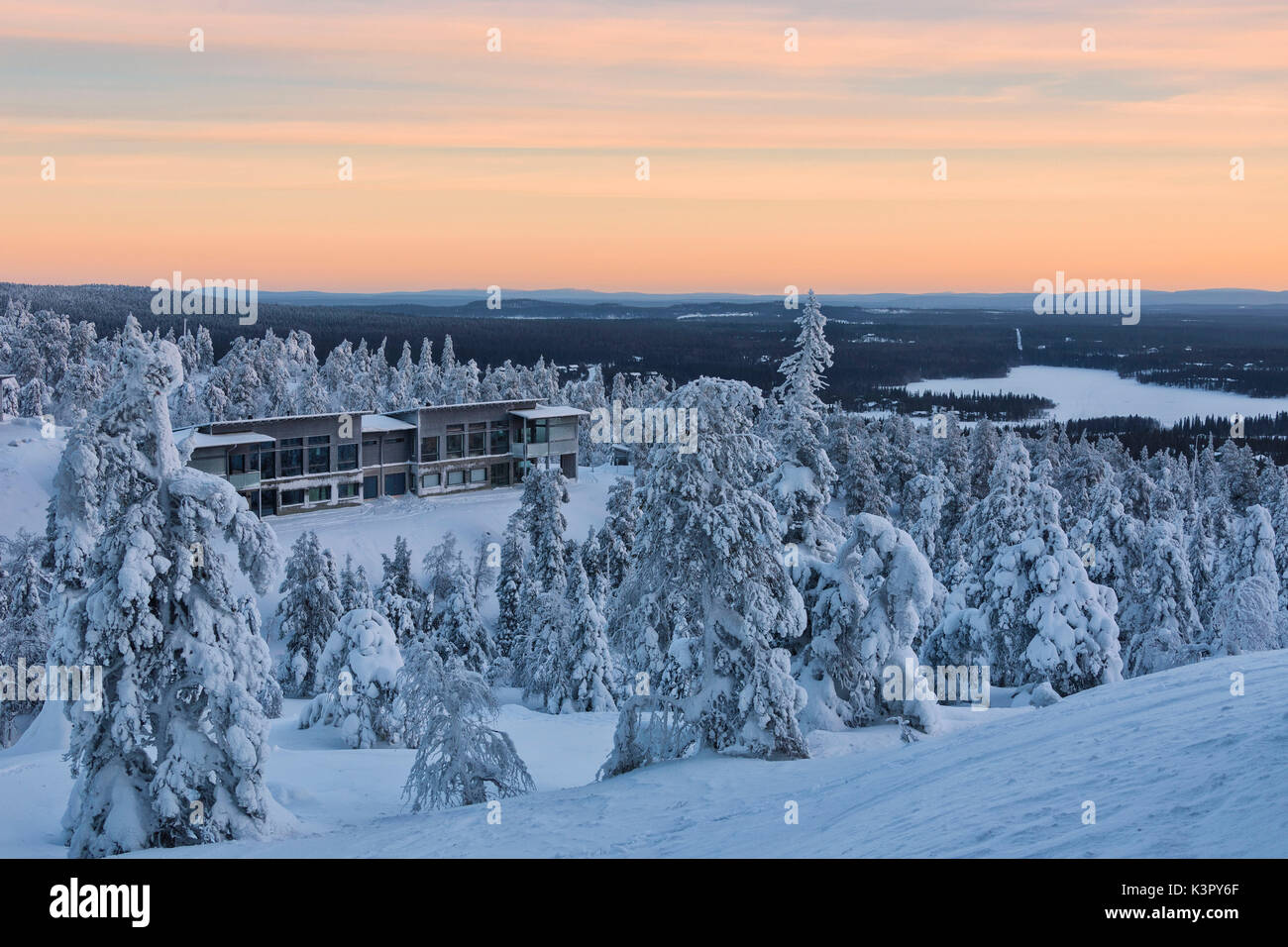 Alberi coperti di neve nel selvaggio paesaggio artico Ruka Kuusamo Pohjanmaa regione Lapponia Finlandia Europa Foto Stock