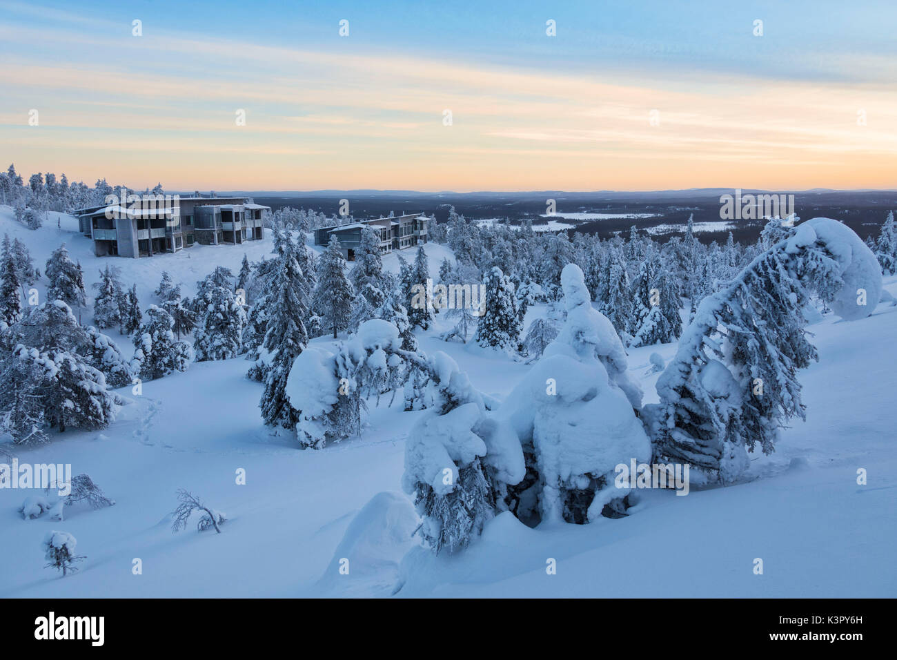 Alberi coperti di neve nel selvaggio paesaggio artico Ruka Kuusamo Pohjanmaa regione Lapponia Finlandia Europa Foto Stock