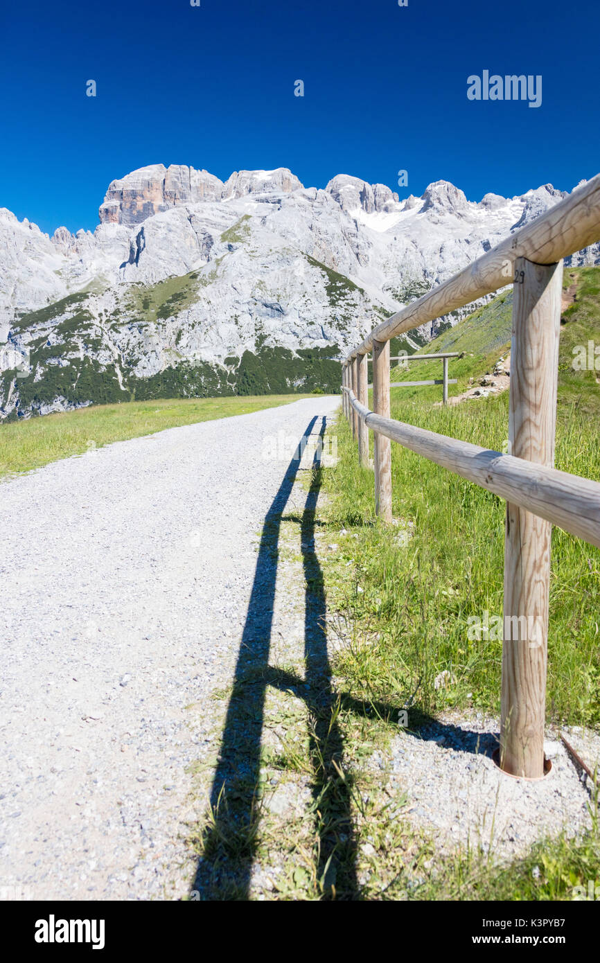 Cielo blu e il sole sul percorso verso i picchi rocciosi del Doss del Sabion Pinzolo Dolomiti di Brenta Trentino Alto Adige Italia Europa Foto Stock