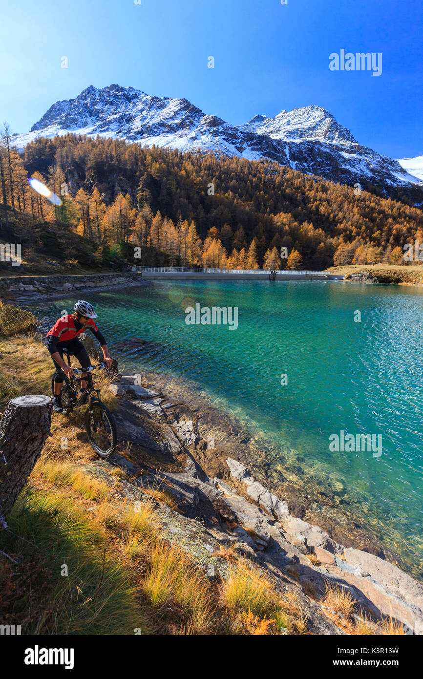 Biker lungo le rive del bacino idroelettrico di Alp Grum in autunno. Valle di Poschiavo Canton Grigioni Svizzera Europa Foto Stock