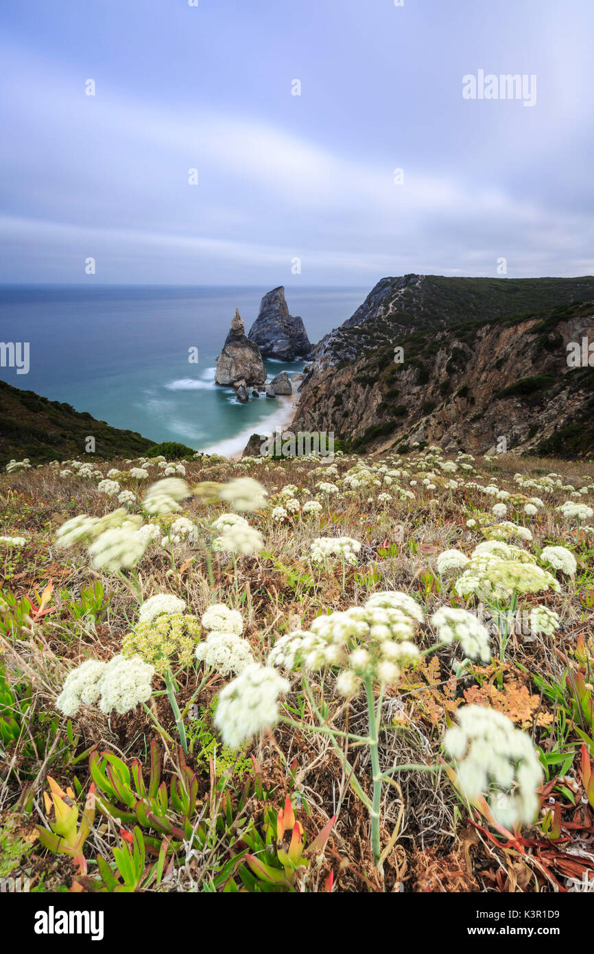 Alba sul capo e le scogliere di Cabo da Roca affacciato sull'Oceano Atlantico Sintra Portogallo Europa Foto Stock