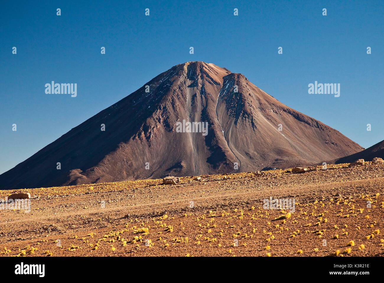 Vista del Vulcano Licancabur sul confine tra Cile e Bolivia. Questo picco vulcanico germogliato durante la notte dalla superficie del deserto. Il Cile. America del Sud Foto Stock