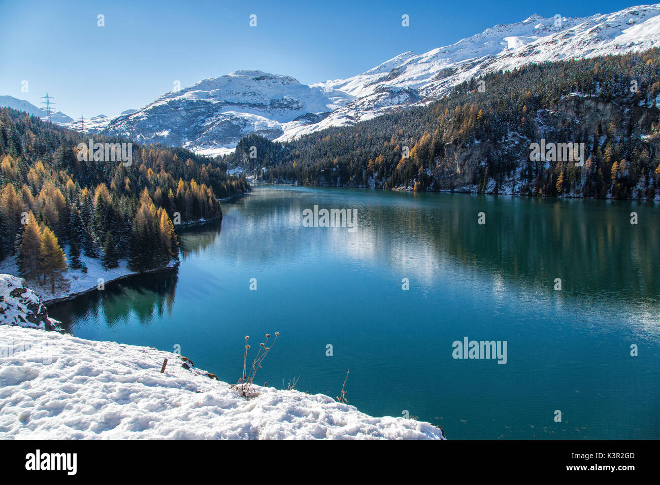 Colorati boschi innevati si riflette nelle limpide acque di Lej da Marmorera Val Sursette Cantone dei Grigioni Svizzera Europa Foto Stock