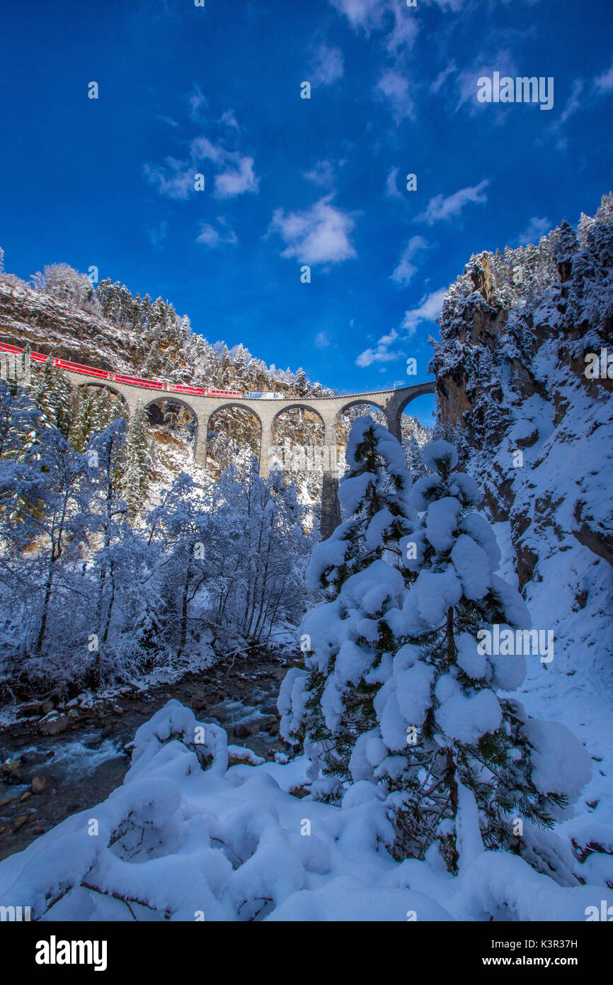Bernina Express passa attraverso i boschi innevati Filisur Cantone dei Grigioni Svizzera Europa Foto Stock