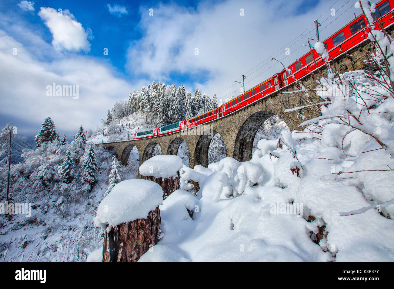 Bernina Express passa attraverso i boschi innevati Filisur Cantone dei Grigioni Svizzera Europa Foto Stock