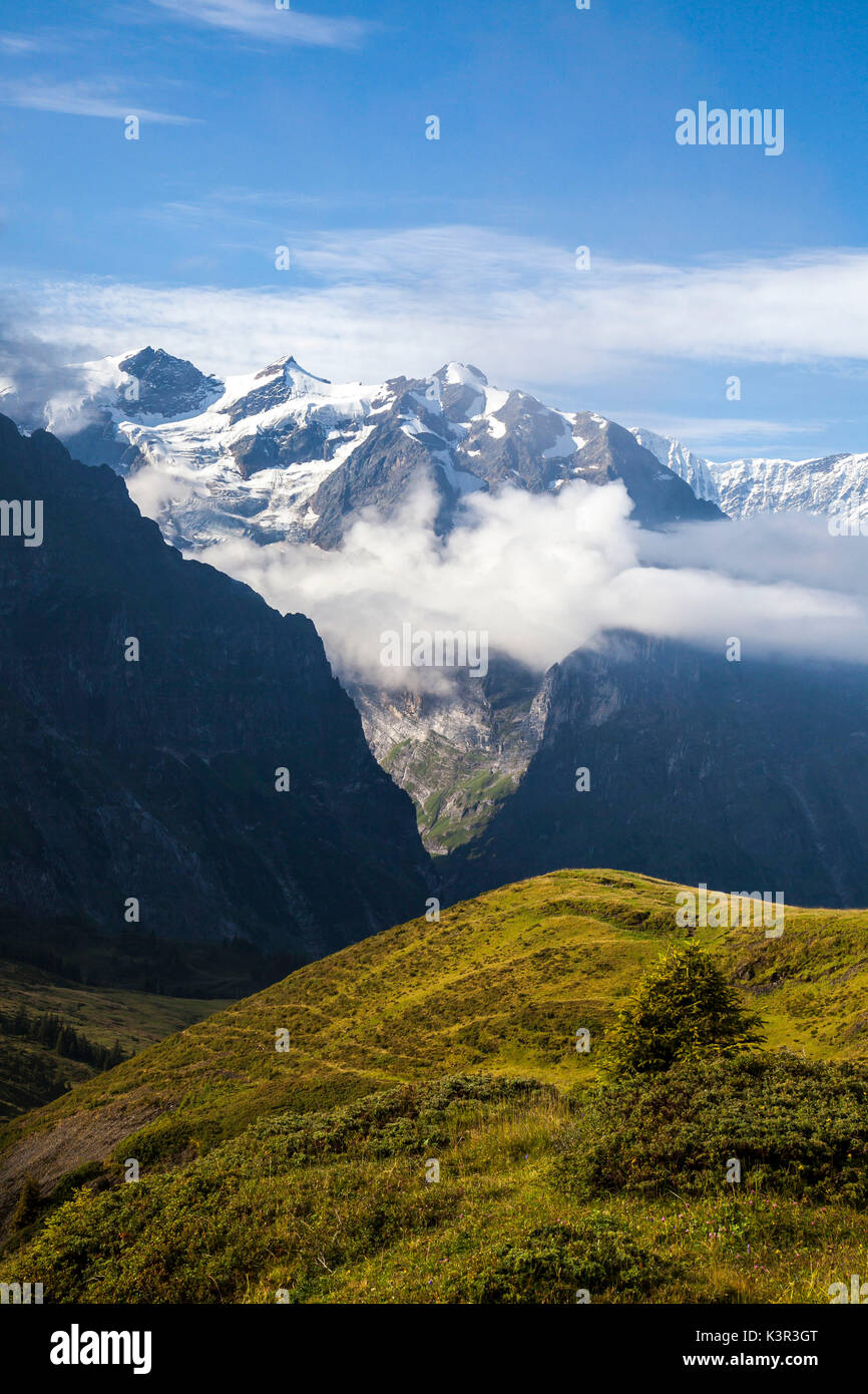 Verdi Pascoli e cime innevate prima Grindelwald Bernese Oberland Canton Berna Svizzera Europa Foto Stock