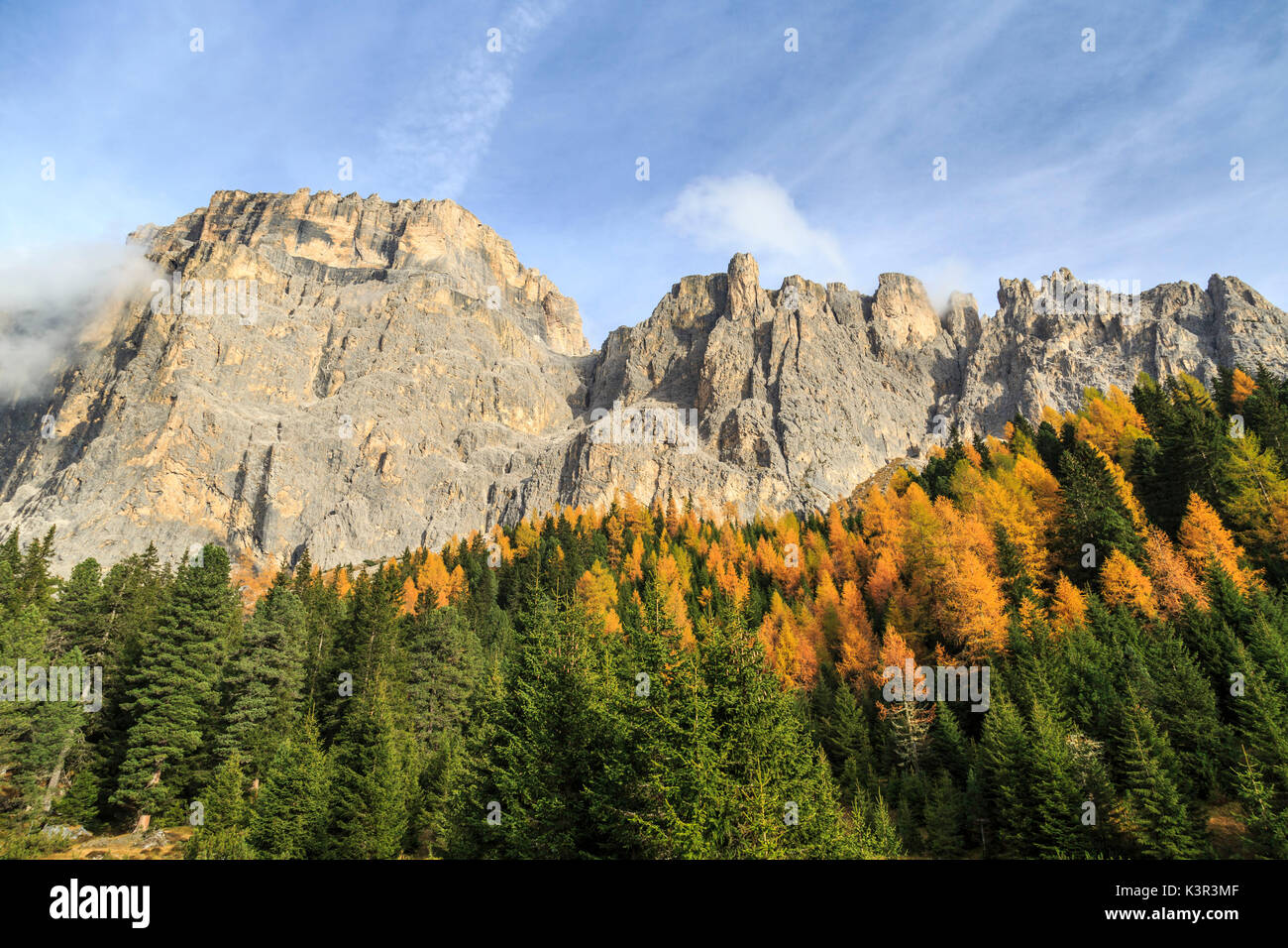 Boschi colorati in autunno al Passo Sella. Dolomiti Val di Fassa Trentino Alto Adige Italia Europa Foto Stock