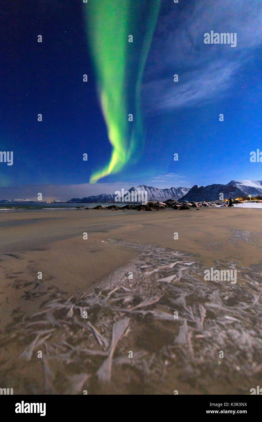 L'aurora boreale illumina il cielo e la spiaggia del mare a freddo di Gymsøyand. Isole Lofoten Norvegia del Nord Europa Foto Stock