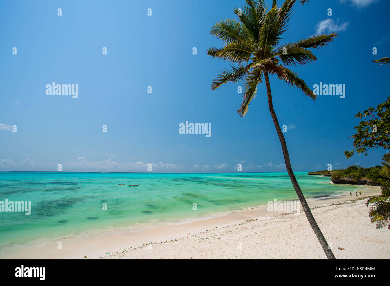 Spiaggia e palm in Jambiani, Zanzibar, Tanzania Africa Foto Stock