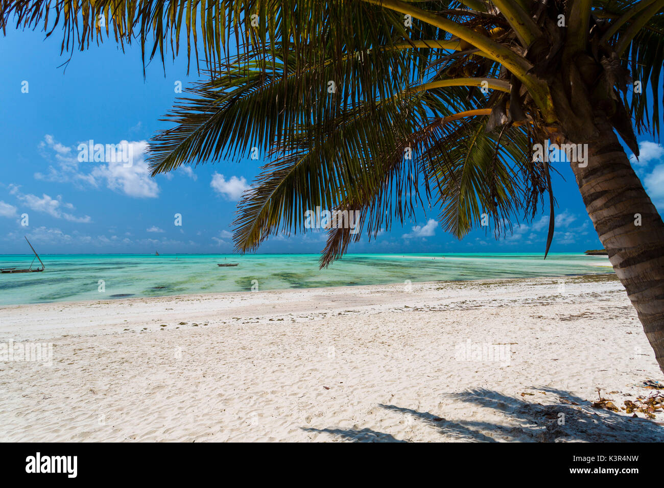 Spiaggia e palm in Jambiani, Zanzibar, Tanzania Africa Foto Stock