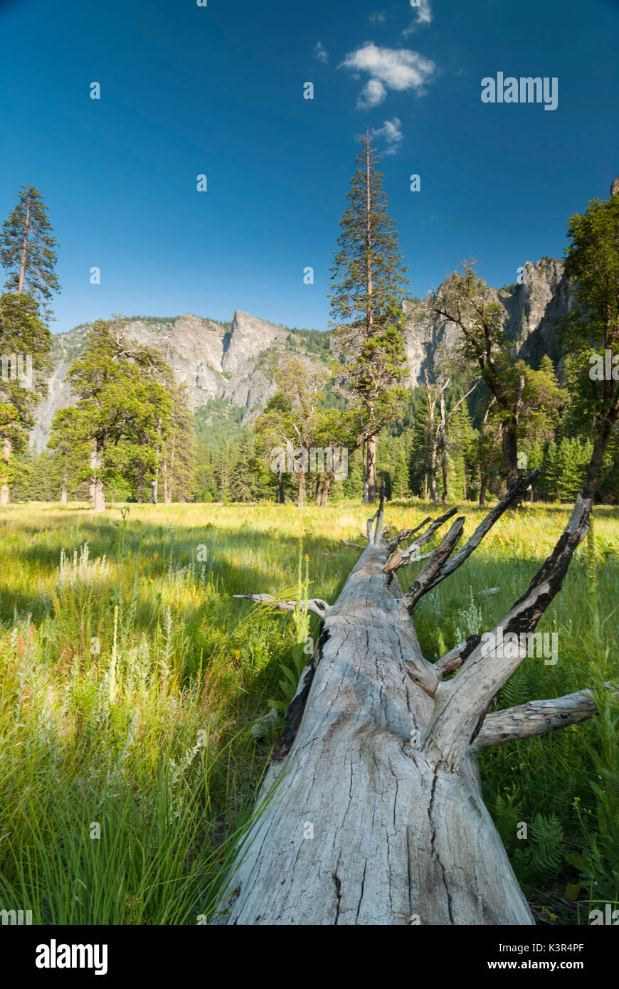 Il parco nazionale di Yosemite Valley, Yosemite National Park, California, Stati Uniti d'America Foto Stock