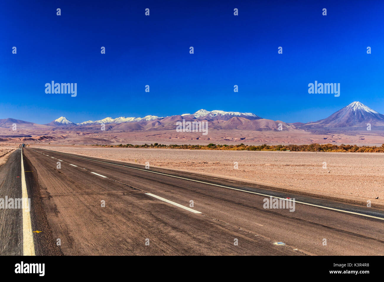 Laguans altiplanicas, Atacama, Cile, Sud America Foto Stock