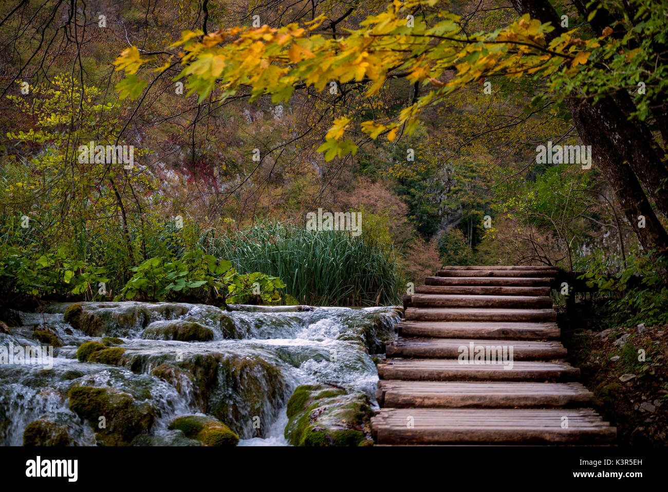 Il parco nazionale di Plitvice,Karlovac regione, Croazia distretto, l'Europa. Foto Stock