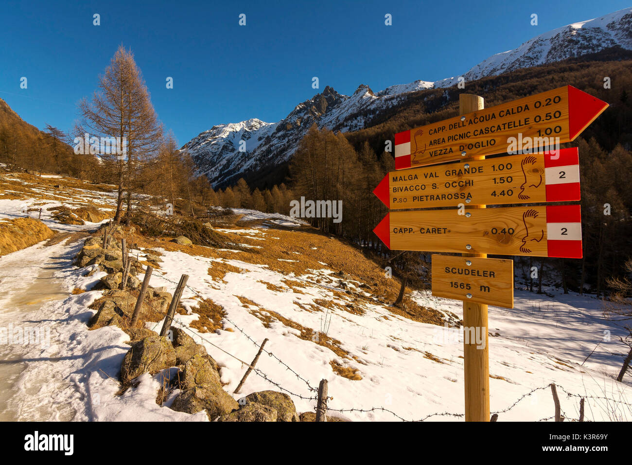 Parco Nazionale dello Stelvio, Val Grande, Vezza d'Oglio in provincia di Brescia Foto Stock