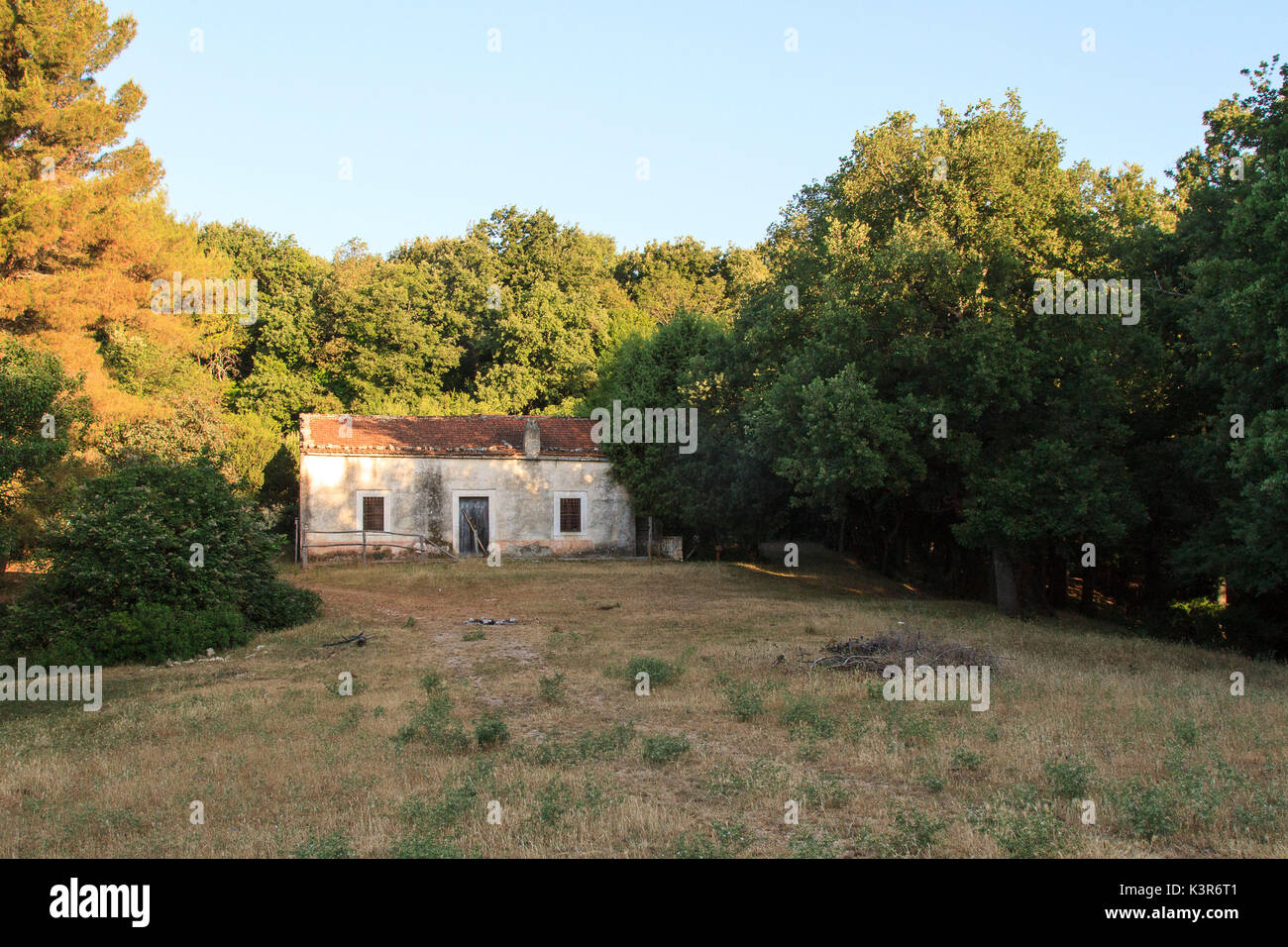 Gargano in Puglia, Italia. La Foresta Umbra, vecchia fattoria nel bosco Manatecco. Foto Stock