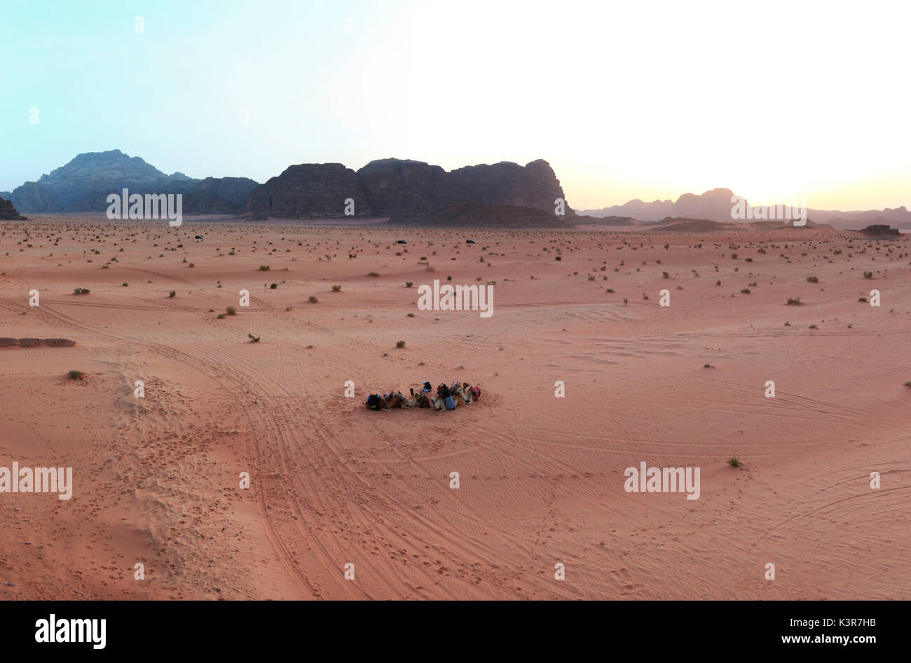 Tramonto nel Wadi Rum desert, Giordania, con beduini locali e cammelli in primo piano Foto Stock