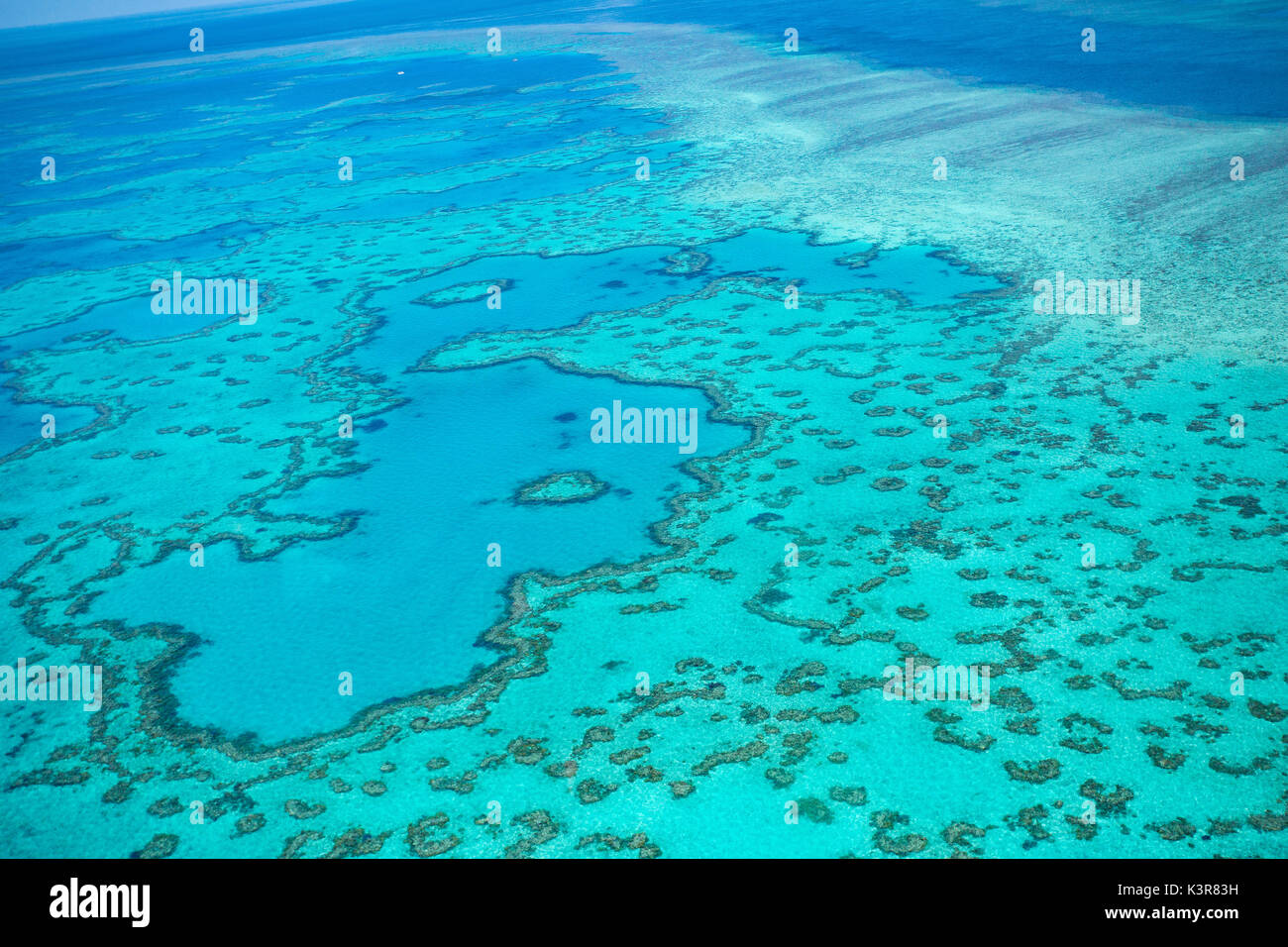 Grande Barriera Corallina dal di sopra, Queensland, Australia. Cuore reef Foto Stock