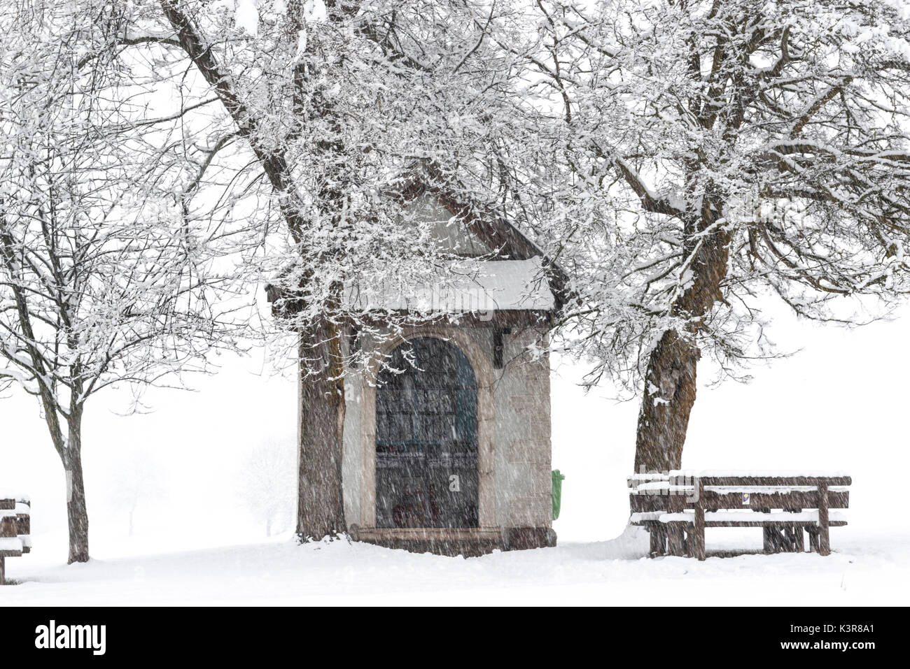 L'Europa, Italia, Trentino Alto Adige. La Madonna brusada cappella in praterie di Val di Non in un giorno d'inverno. Foto Stock