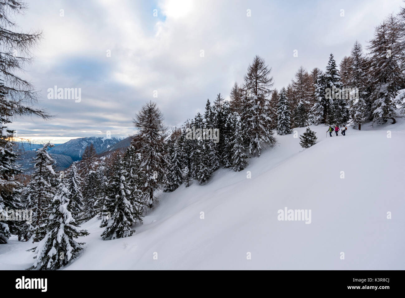 L'Europa,Dolomiti,l'Italia,Trentino,Val di Fiemme,Pale di San Martino. Racchette da neve Foto Stock