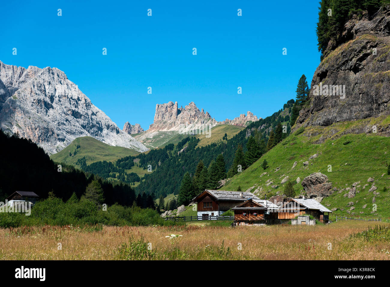 L'Italia,Trentino Dolomiti,,Val di Fassa, Europa, Duron valley, Schiliar, Val Duron. Sito di Importanza Comunitaria Foto Stock