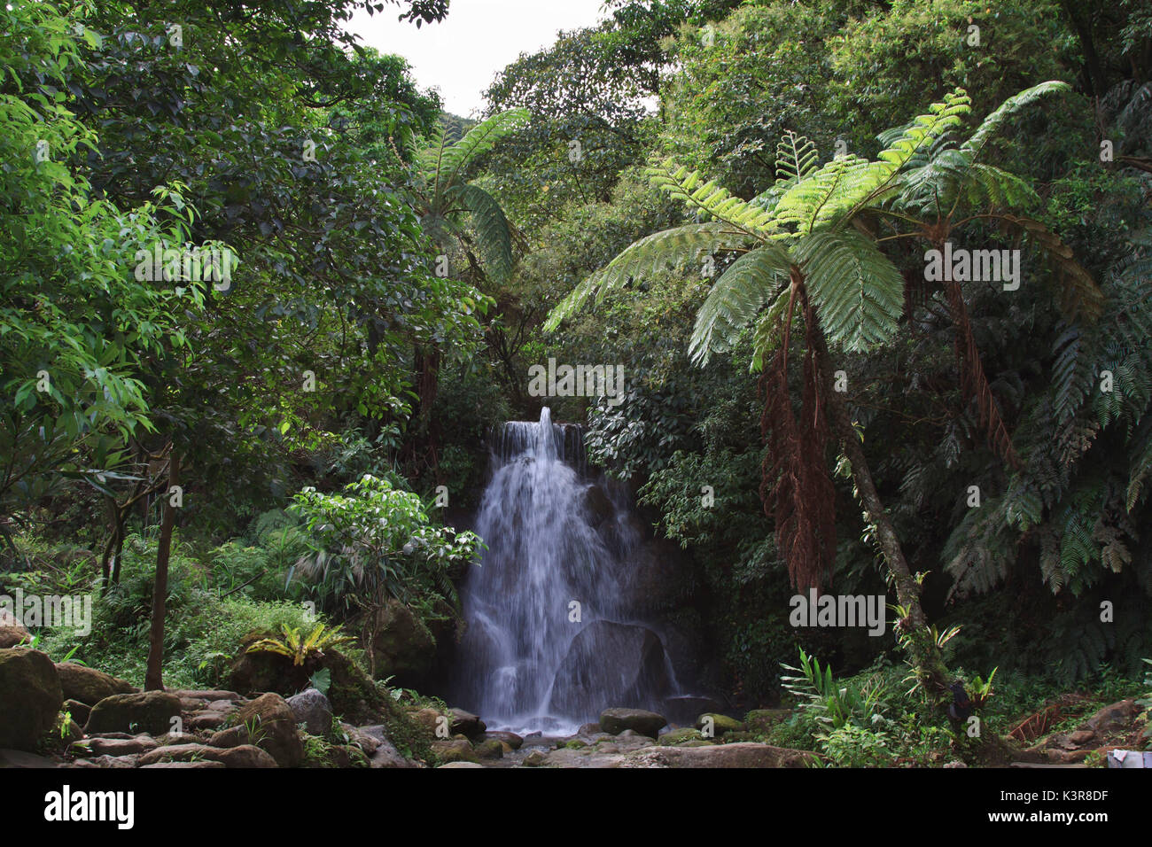 Fiume e primavera calda in Taiwan Foto Stock