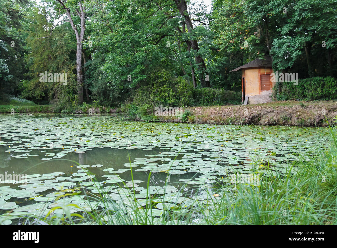 Bellissimo parco di villa Sorra. castelfranco emilia modena, Italia Foto Stock