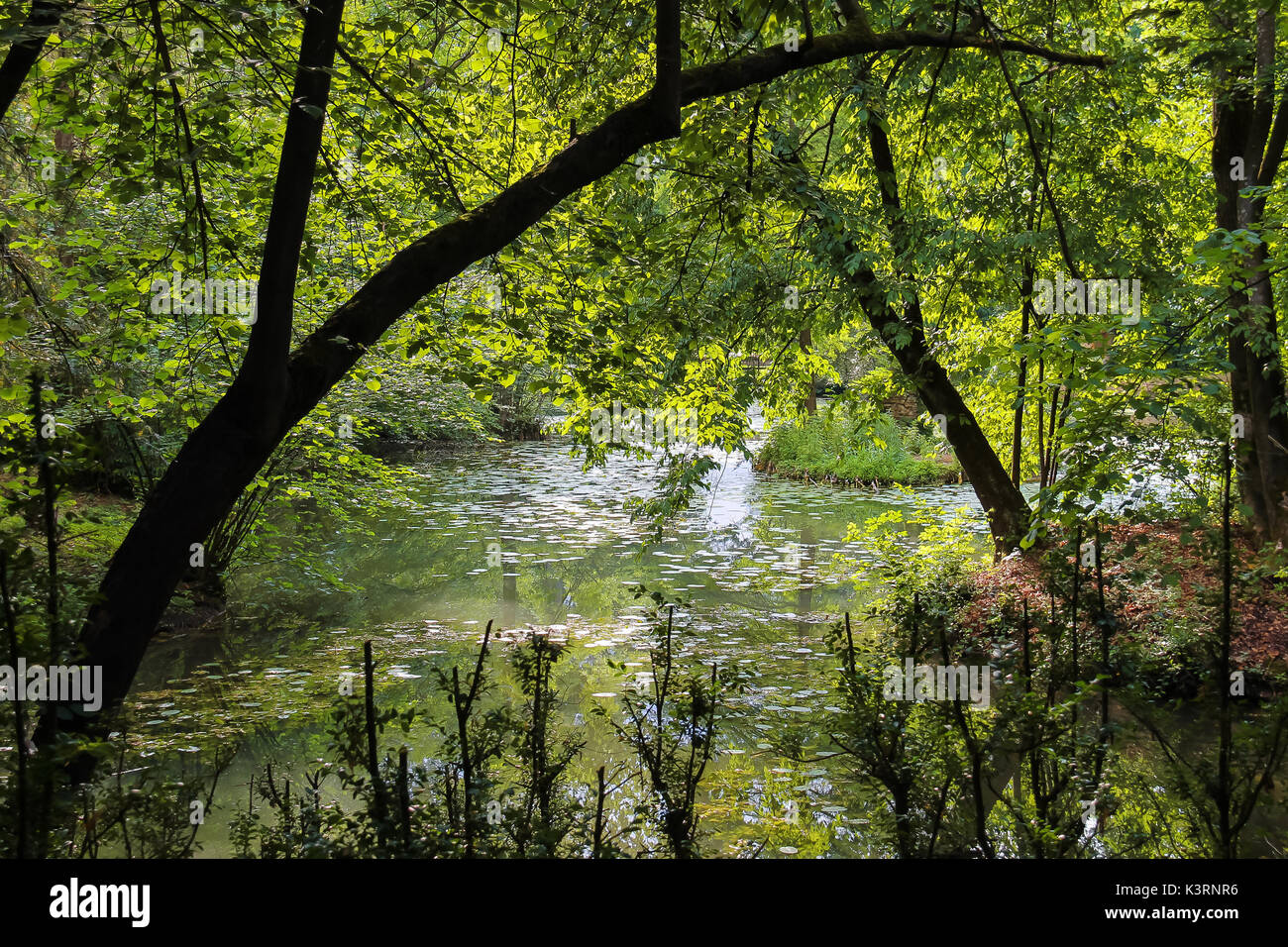 Bellissimo parco di villa Sorra. castelfranco emilia modena, Italia Foto Stock