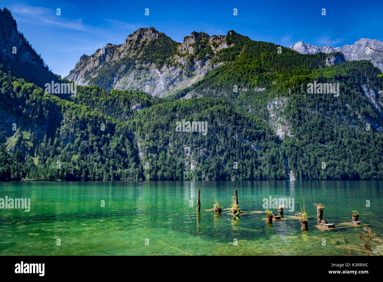 Vista del lago Koenigssee vicino Salet nel Parco Nazionale di Berchtesgaden, Baviera, Baviera, Germania, Europa Foto Stock