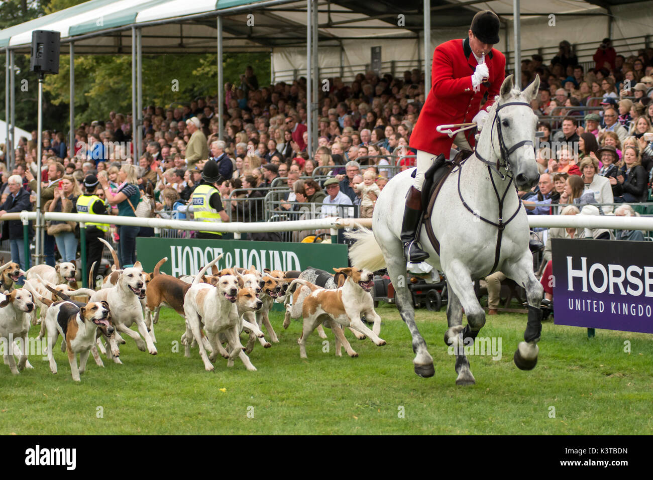 Burghley House, kent, Regno Unito. 3 Sep, 2017. La Contessa di Wessex gode di pochi momenti con la Fox Hunt segugi che ha sfilato il principale anello a Burghley House prima di incontrare la huntsman. Credito: clifford norton/alamy live news Foto Stock