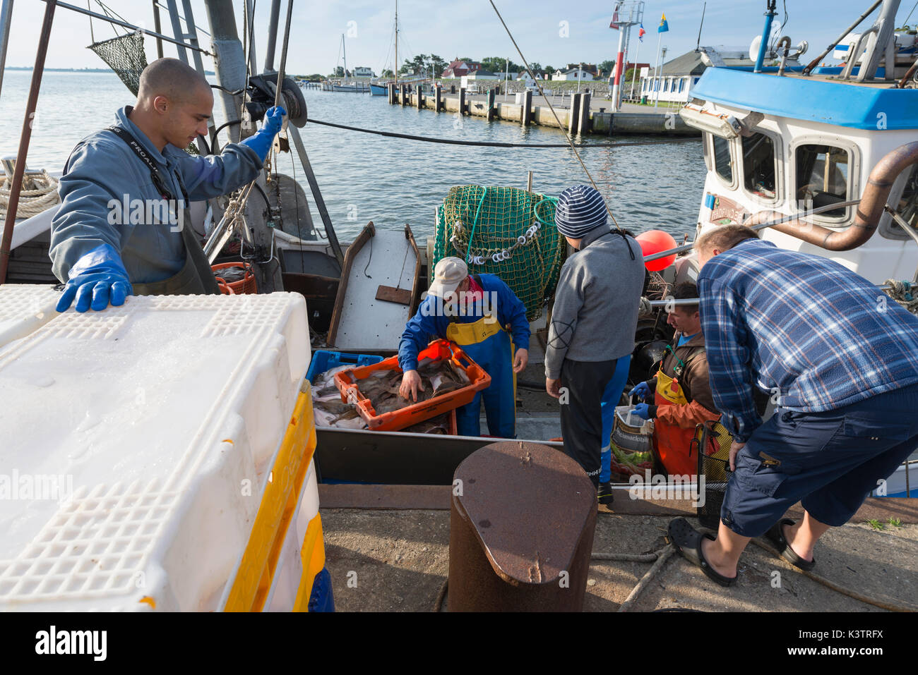 Fischermen vendere pesce fresco del mattino sulla cattura la barca nel porto di vitte sull isola di Hiddensee, mecklenburg-west pomerania, Germania Foto Stock