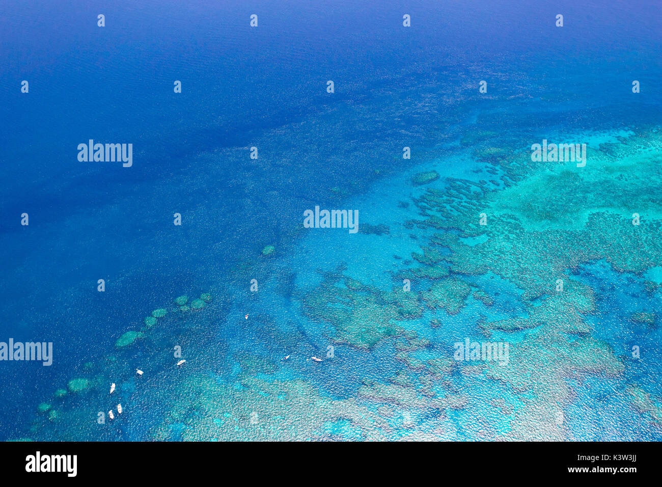 Grande Barriera Corallina dal di sopra, Queensland, Australia. Cuore reef Foto Stock
