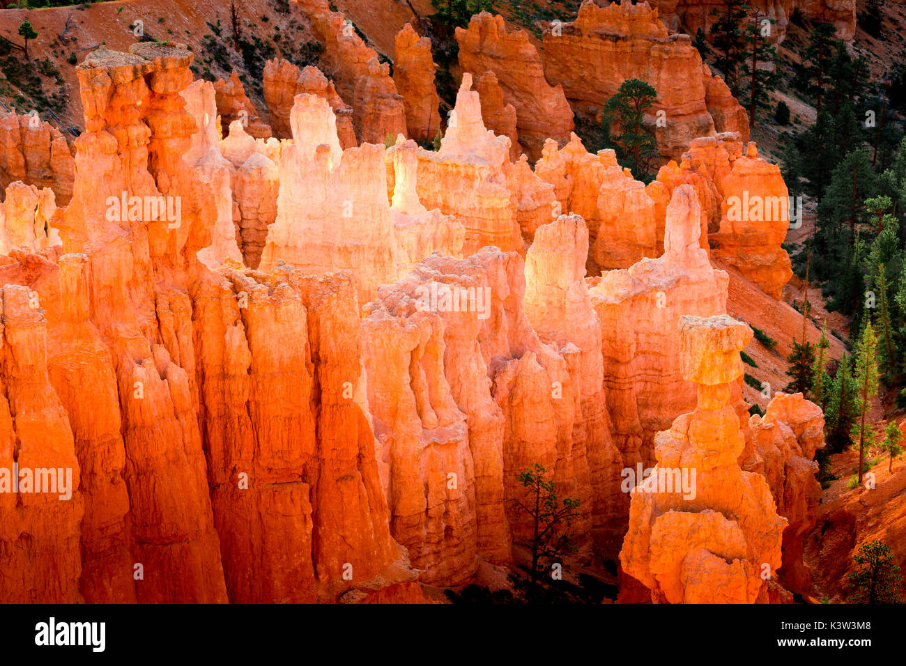 Sunrise a Bryce Canyon National Park, Utah, Stati Uniti d'America. Dal punto di tramonto Foto Stock