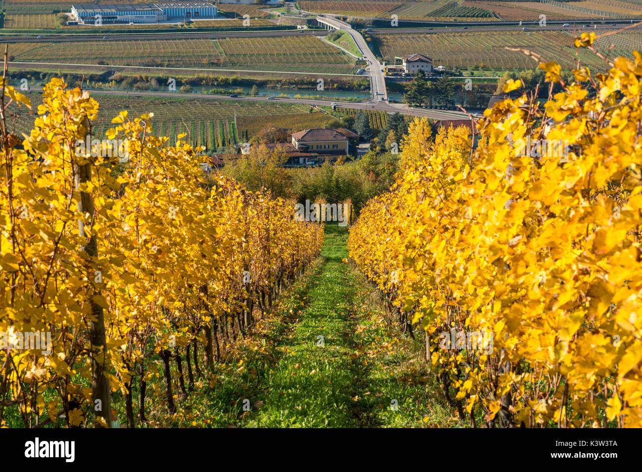 L'Italia, Trentino Alto Adige, vigneti in autunno dominano la valle dell Adige. Foto Stock