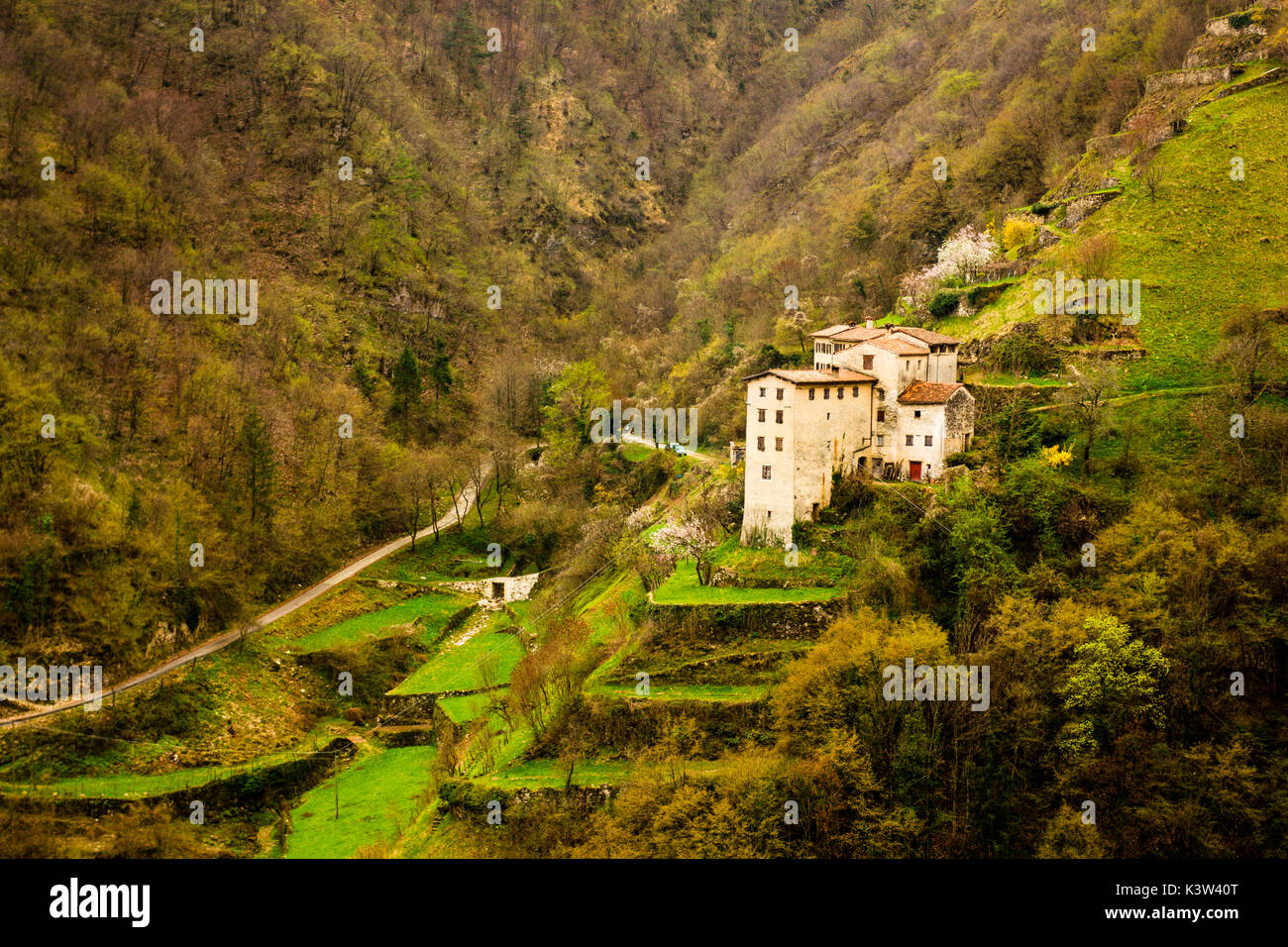 Piccolo villaggio di montagna, Contrada Giaconi, Val Frenzela, Valstagna, Provincia di Vicenza, Veneto, Italia. Abitazioni rurali in valle. Foto Stock