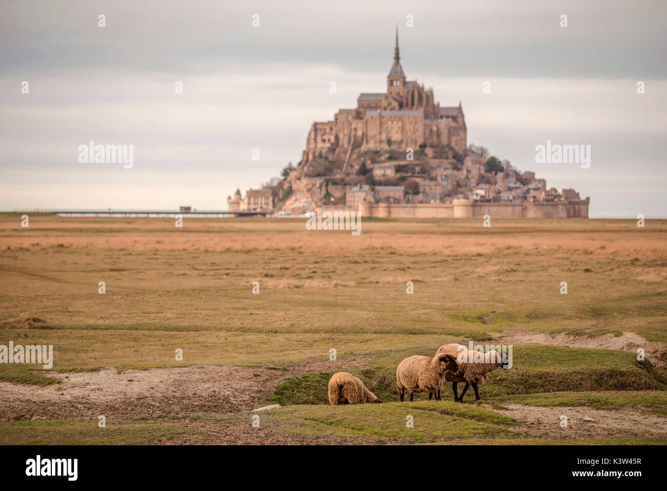 La Rive, Mont Saint Michel, Manche departement, Normandia, Francia Foto Stock