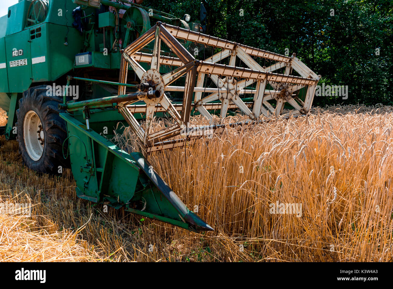 L'Italia, Trentino Alto Adige, Val di Non, il raccolto di grano in Val di Non. Foto Stock