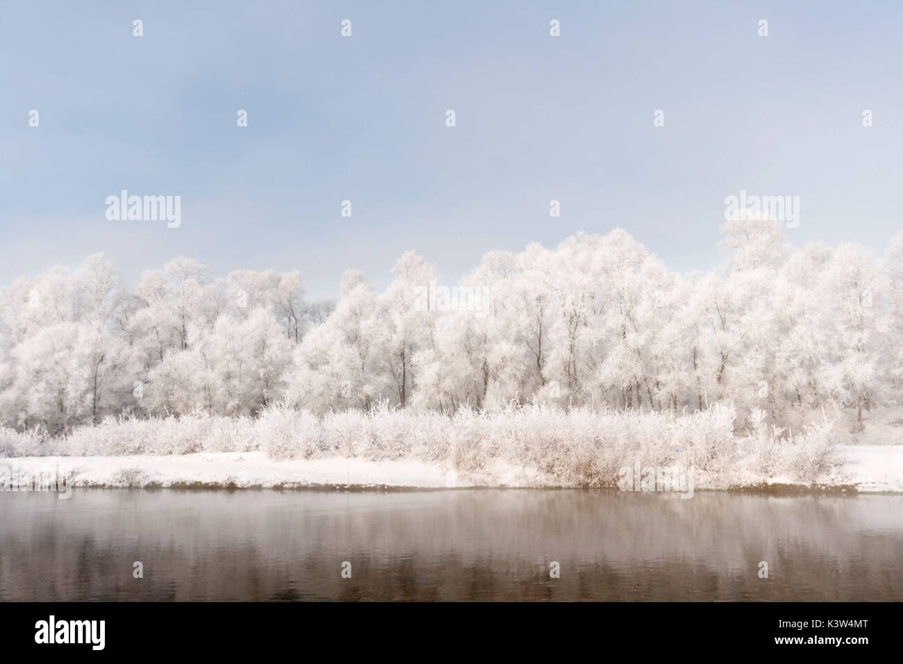 Pianura piemontese, Piemonte,Torino, Italia. Trasformata per forte gradiente di alberi di brina sul fiume Po Foto Stock