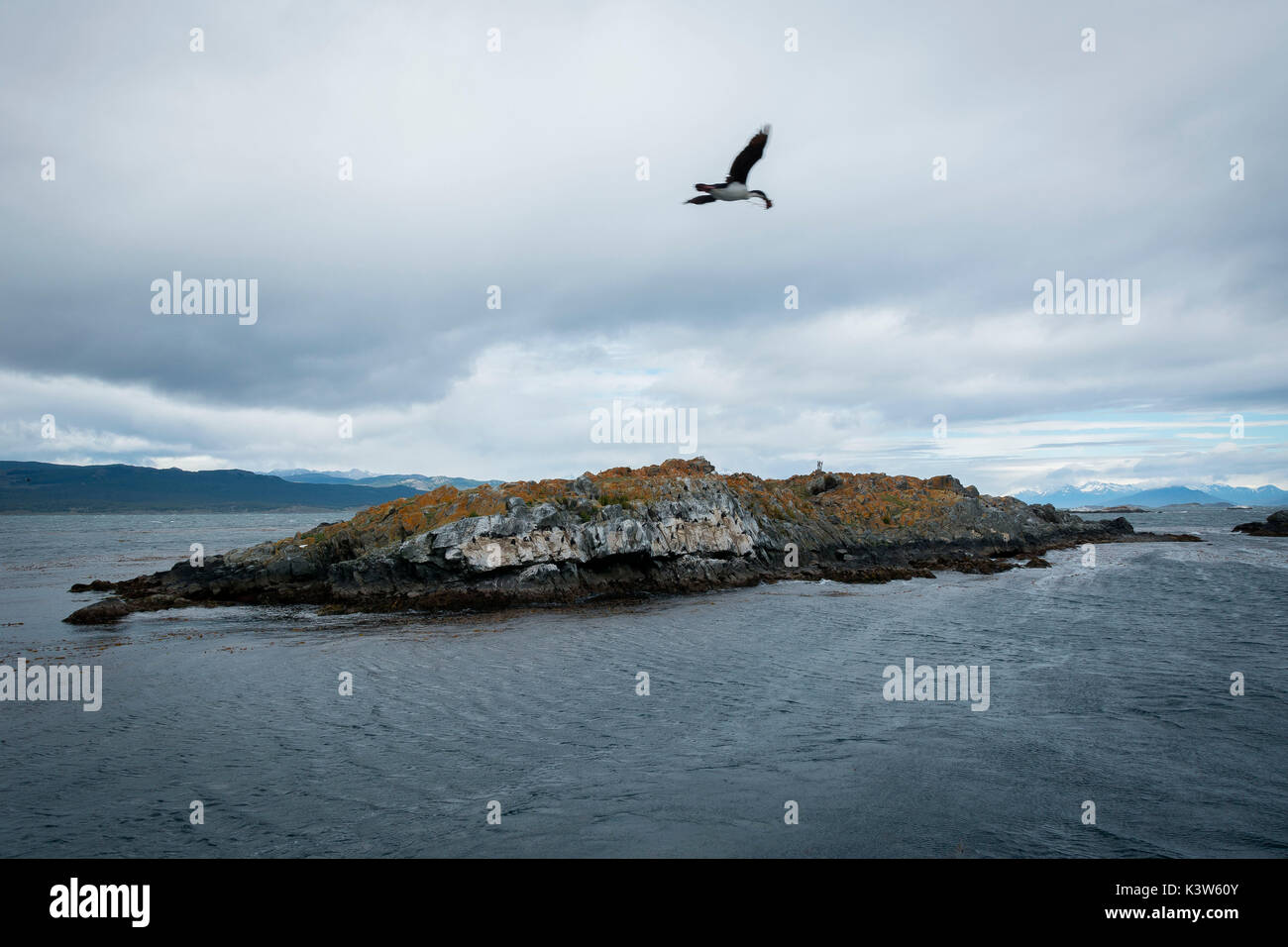 Argentina, Patagonia,Tierra del Fuego National Park, Ushuaia,Canale Beagle Foto Stock