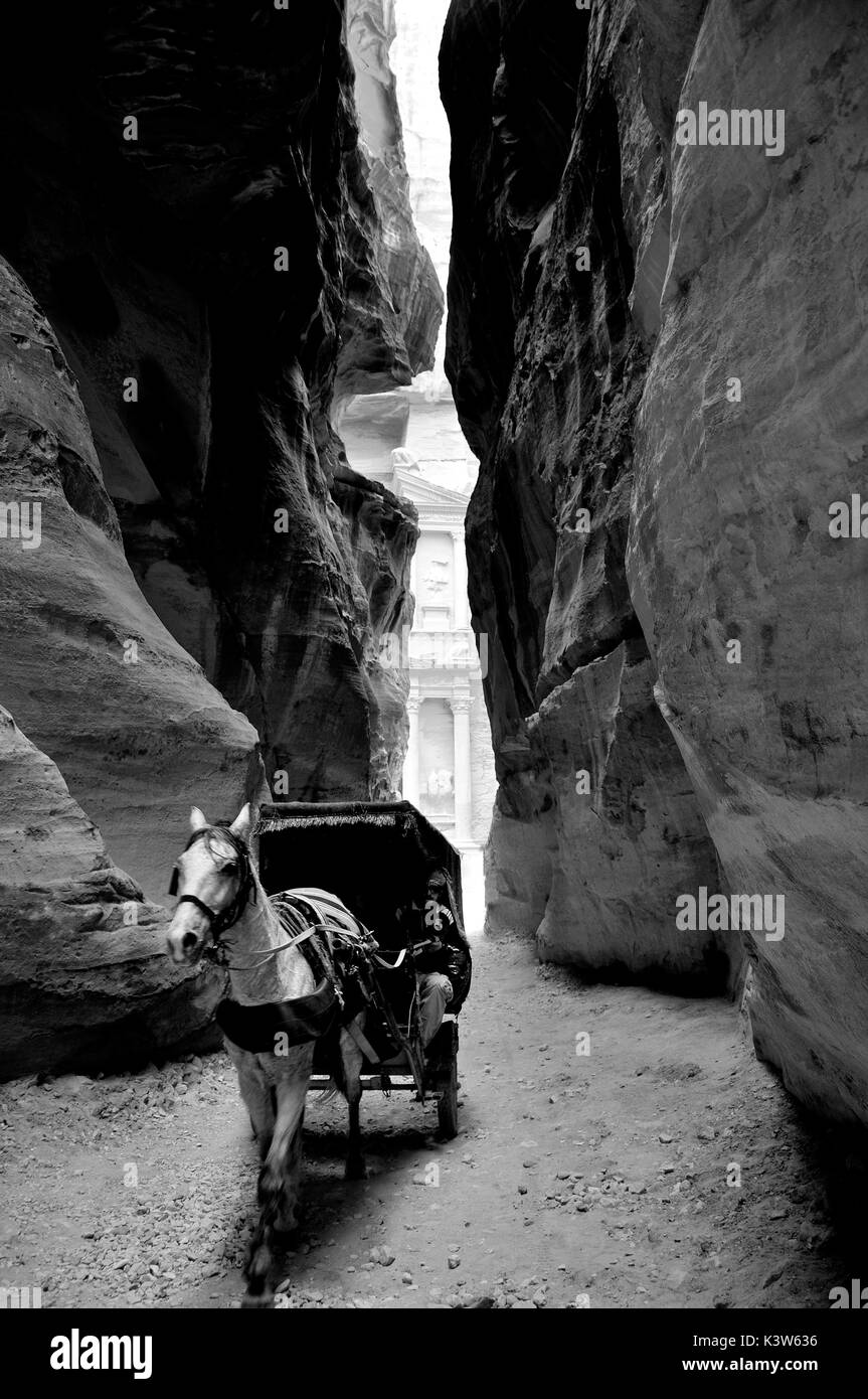 Un carrello trainato da un cavallo bianco al galoppo lungo il Siq, lasciando dietro il tesoro di Petra. Giordania Foto Stock